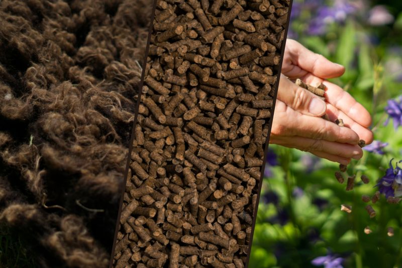 Pelletzentrum Alb Nachhaltige Schafwollpellets von der Schwäbischen Alb